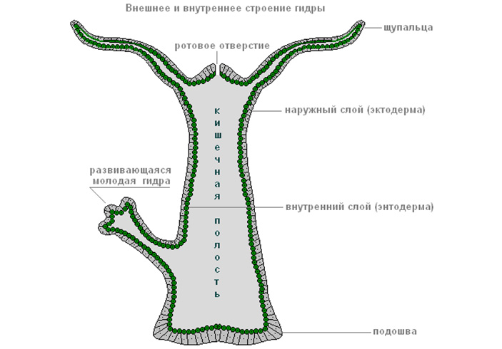 Ссылка на кракен kr2link co