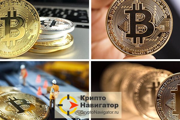 Kraken рынок